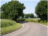 Threatened Oak Trees