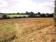 Looking south west to the proposed Aircraft Maintenance & Cargo Hangers, Passenger Terminals and Car Parking